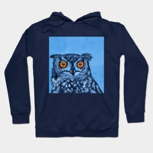 Owl Hoodie